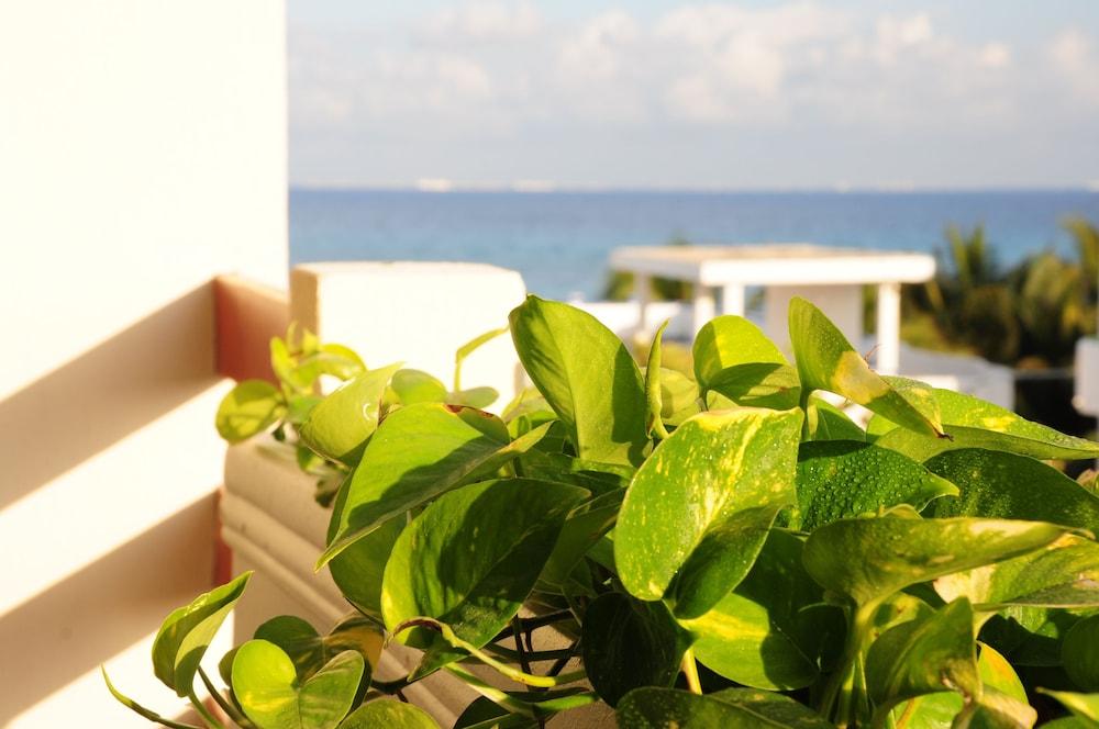 Hotel Posada Sian Kaan Playa Del Carmen Esterno foto